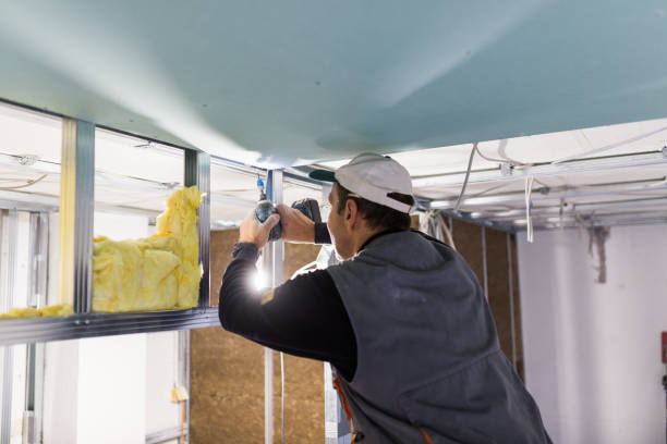 Best Insulation Installation Services in Scott, LA